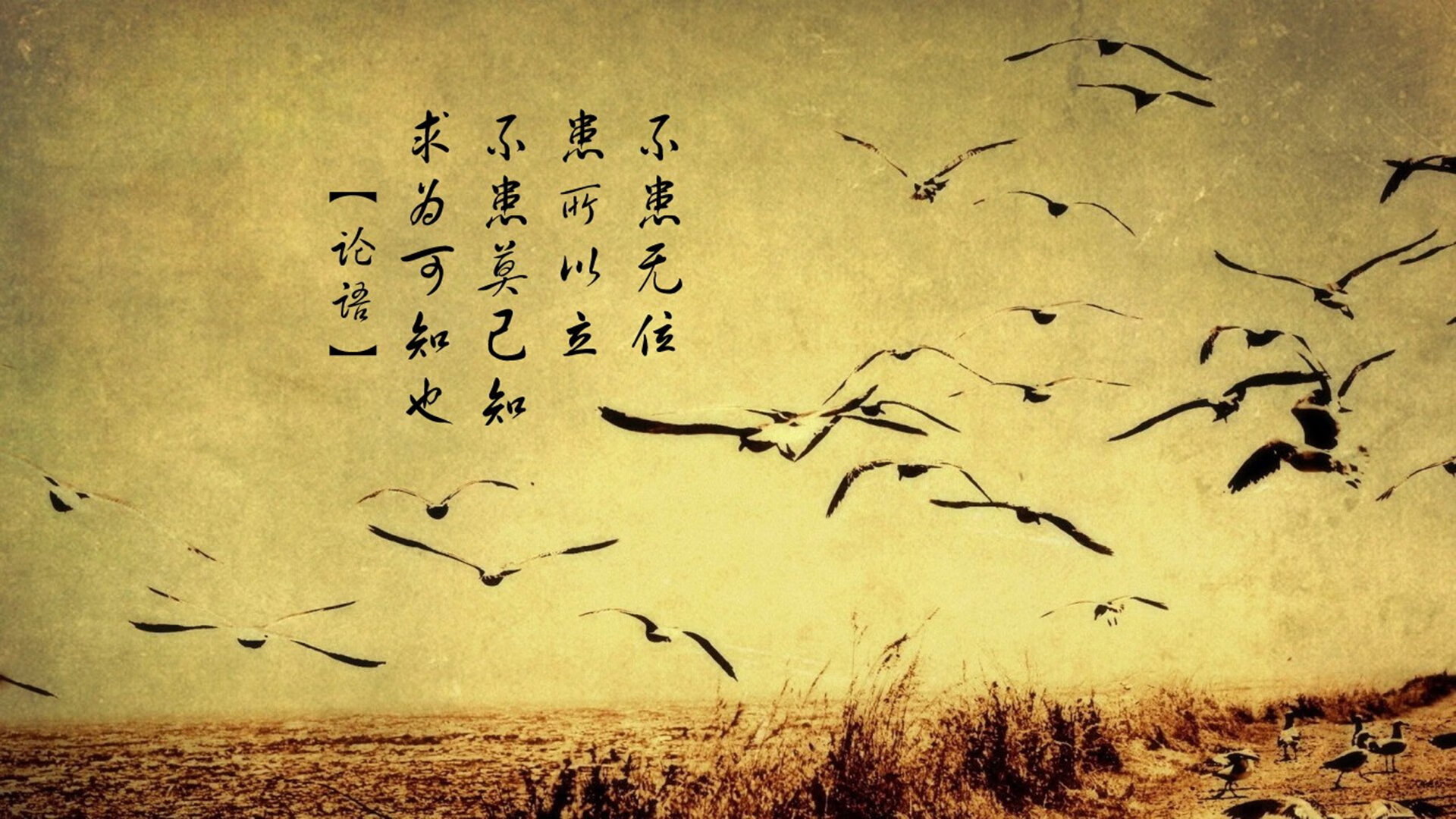 季后赛焦点：哪些球队有望实现“逆转奇迹”？，季后赛翻盘