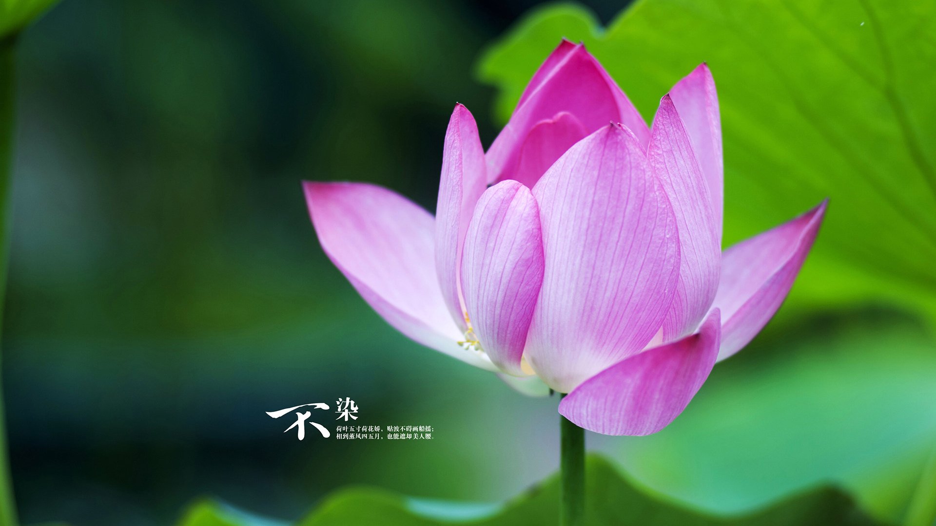 比赛中的“神级”一击，技术与心态完美结合