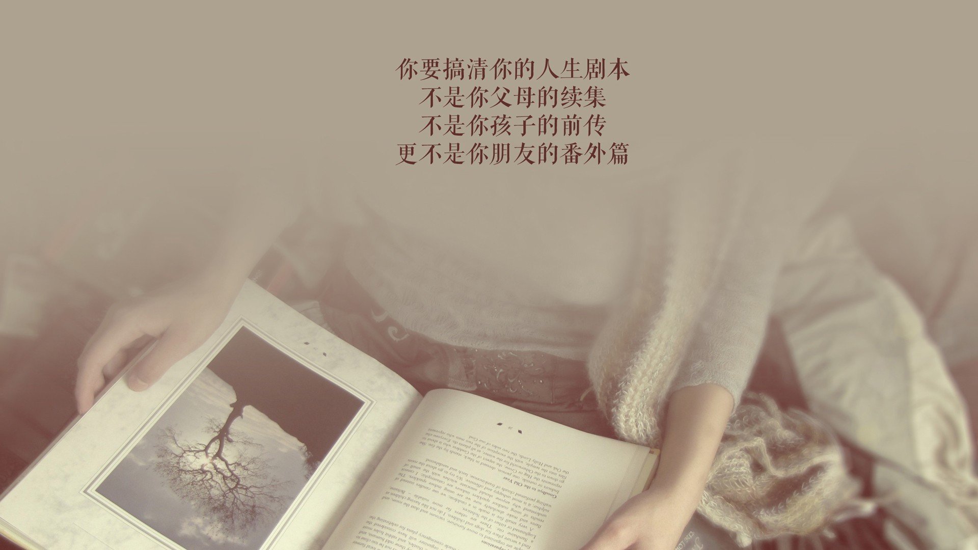 赛季突破：球员们的进步故事大揭秘，赛季球员是什么