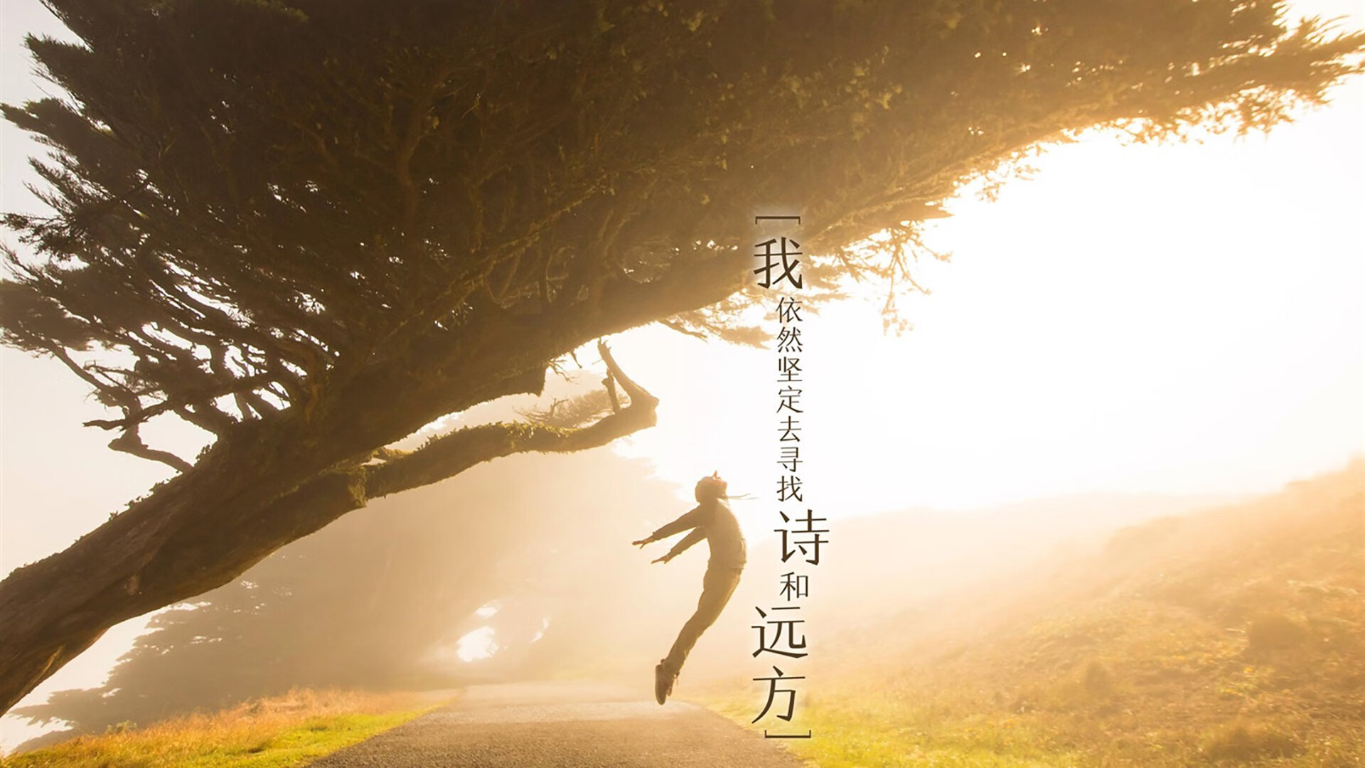 青少年跨栏赛，激发潜能的极速冲刺，青年跨栏高度
