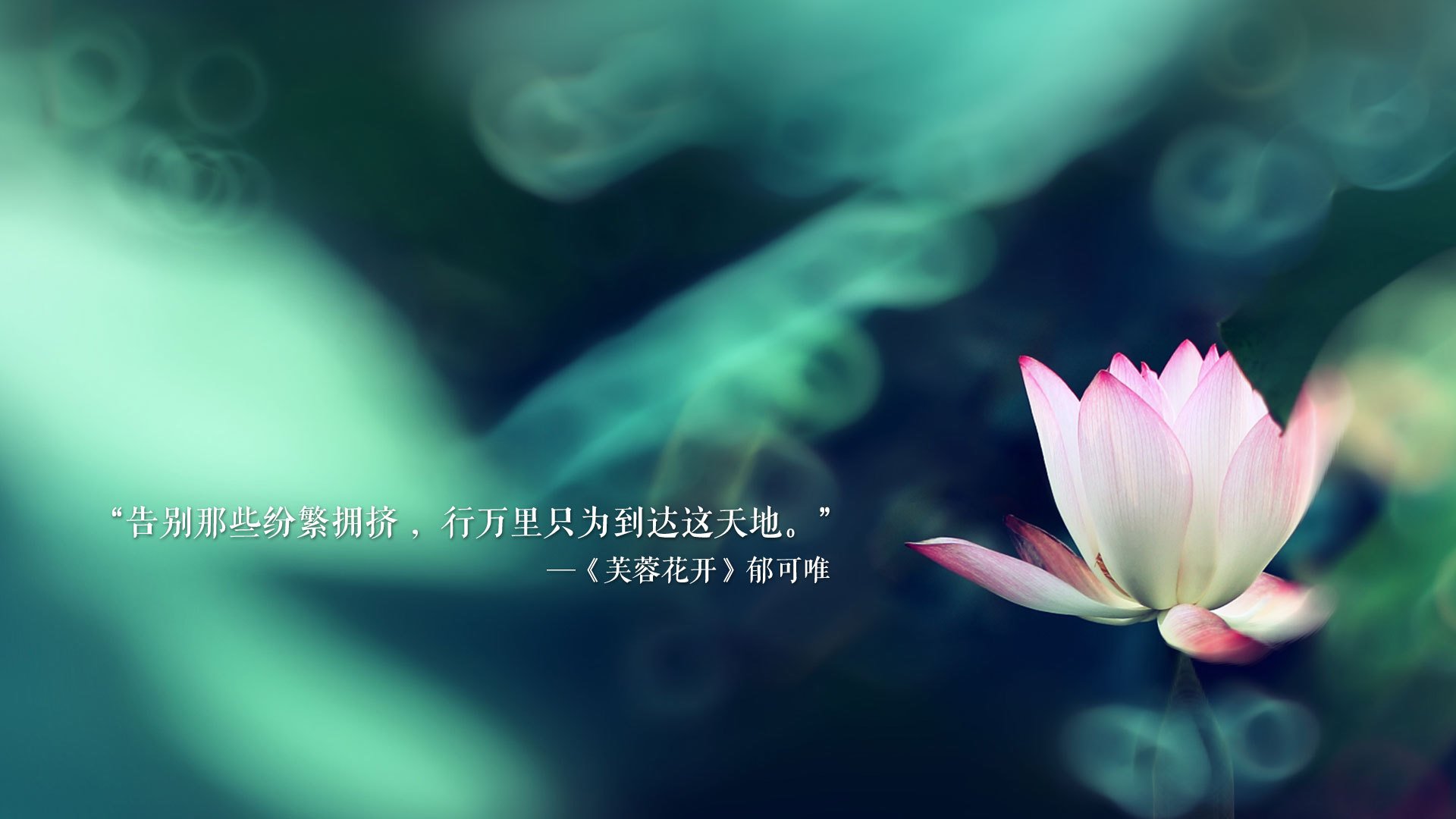 篮球青少年篮球训练课程开发与评价,青少年篮球培训教案文档